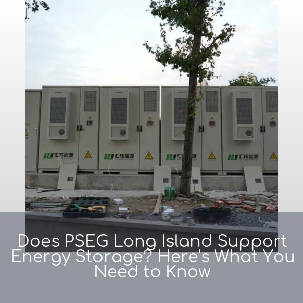 Does PSEG Long Island Support Energy Storage? Here's What You Need to Know